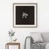 Lilium No.3 - Signed Edition Art Print